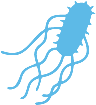 Analisis Microbiologico Analisis Microbiologico en Multianalityca S.A