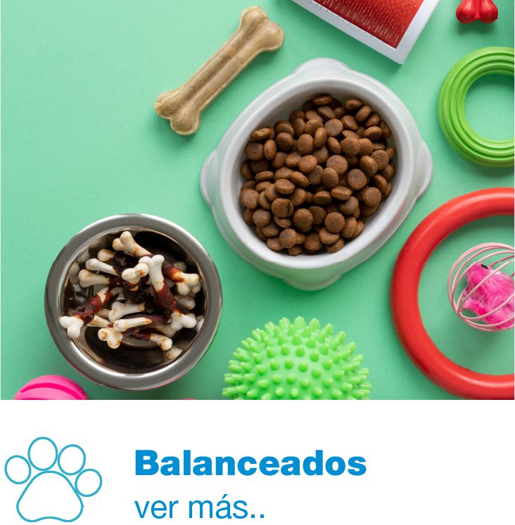 balanceados