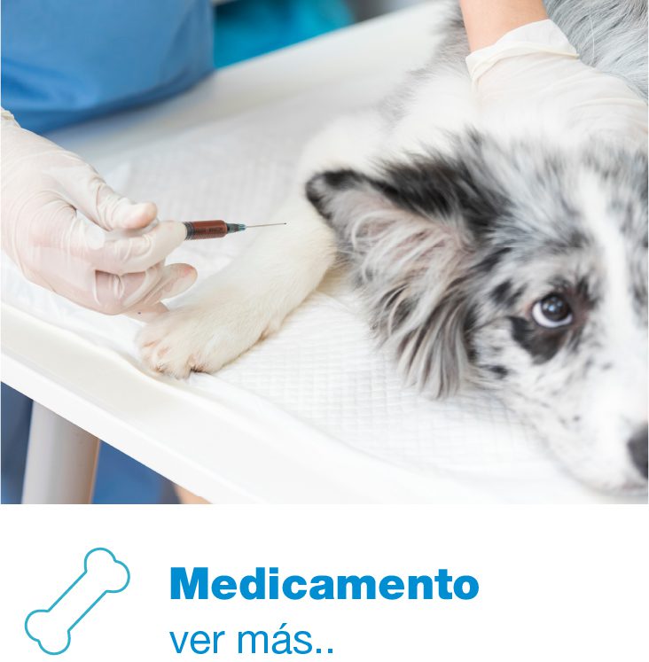 medicamento
