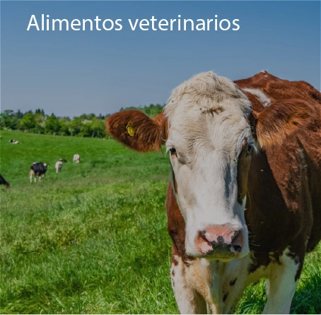 Análisis de laboratorio veterinarios en Multianalityca S.A